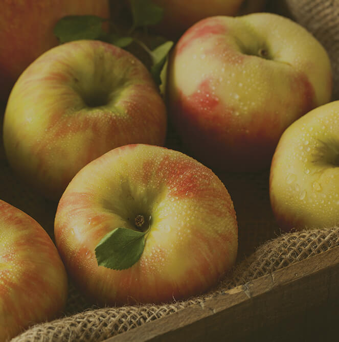 Plymouth Orchards Apples Honeycrisp